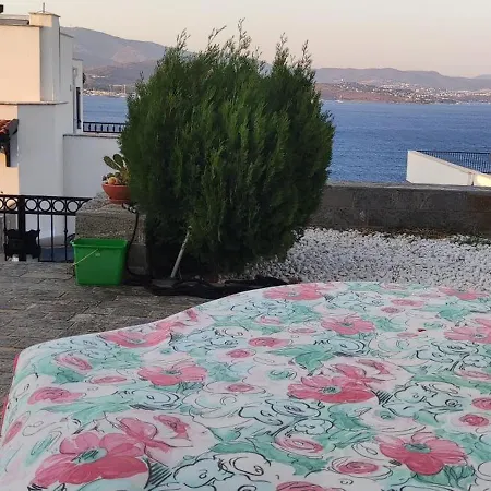 Szálloda Bodrum / Relaxing, Swimming, Sunshine And Sunbathing! Gürece